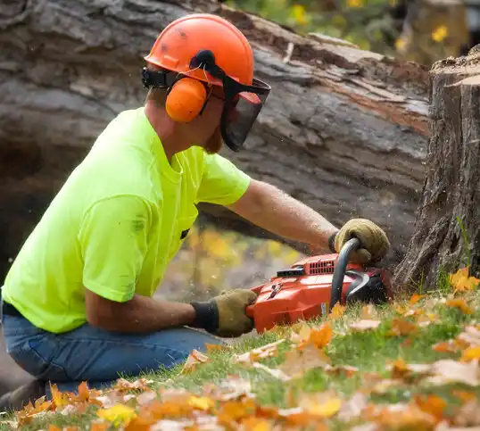 tree services Monsey